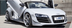 LSD-Doors passend für Audi R8 42 Coupe